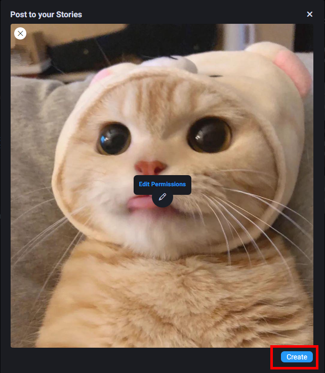 Предпросмотр истории перед публикацией