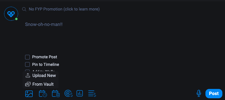 Выбор видео из хранилища или загрузка нового видео