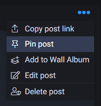 Интерфейс Fansly: меню с опцией закрепления поста